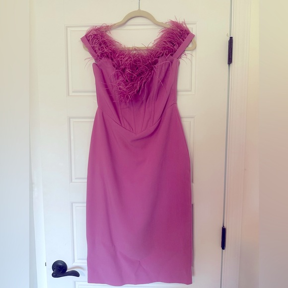 Miss Circle Ophelia Fuchsia Feather Corset Dress - Picture 3 of 4